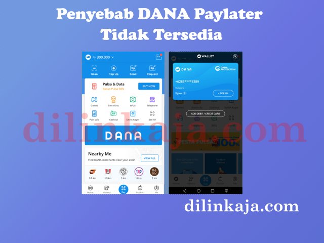 Penyebab dana paylater tidak tersedia